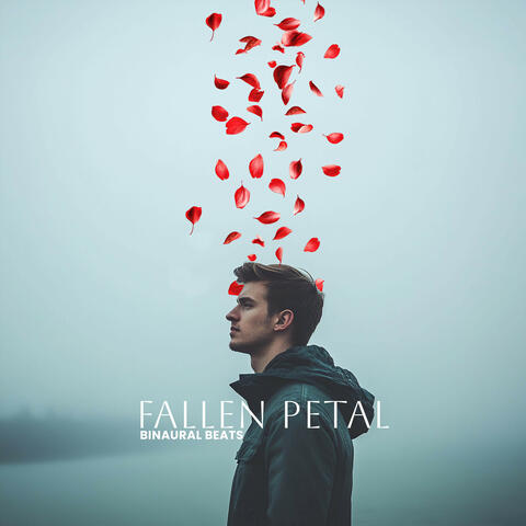 Fallen Petal