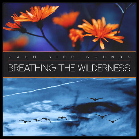 Breathing the Wilderness