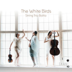 Trio for Violin, Viola and Cello: III. Vivo e marcato