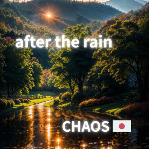 after the rain