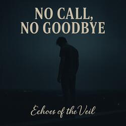 No Call, No Goodbye