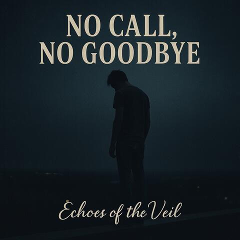 No Call, No Goodbye