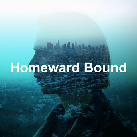 Homeward Bound