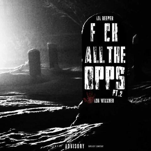 FUCK ALL DA OPPS PR2