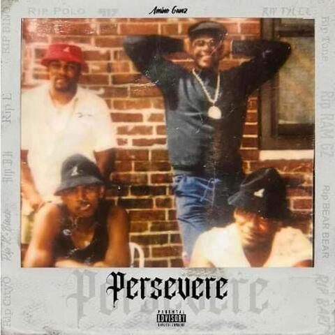 PERSEVERE