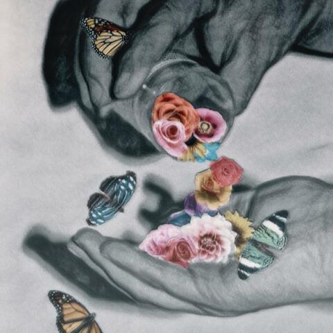 Flowers, Drugs & Butterflies