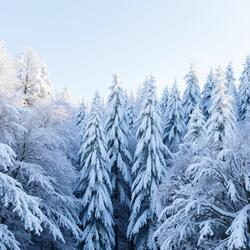 Every Stroke, A Promise