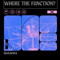 WHERE THE FUNCTION ?
