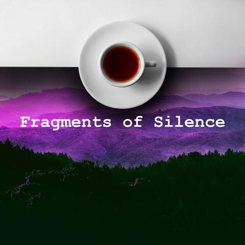 Fragments of Silence