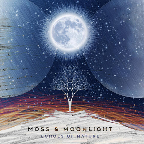 Moss & Moonlight