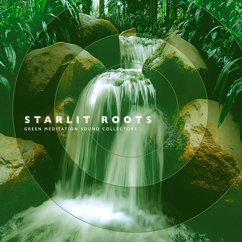 Starlit Roots