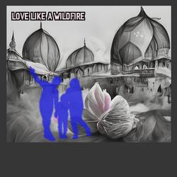 Love Like a Wildfire