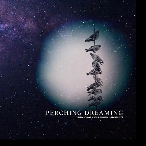 Perching Dreaming