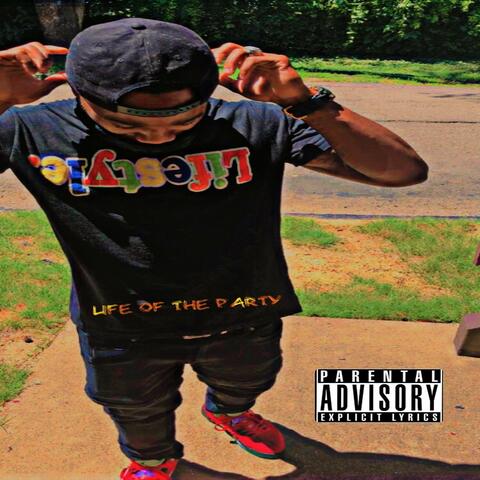 Life of The Party