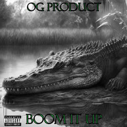 Boom It Up