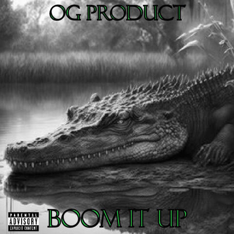Boom It Up