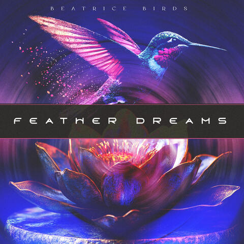 Feather Dreams