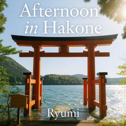 Afternoon in Hakone