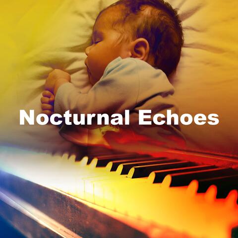 Nocturnal Echoes