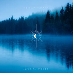 Spatial Woods