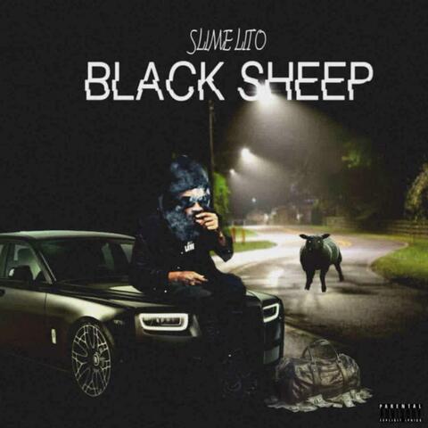 Black Sheep