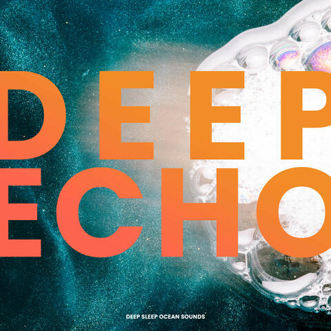 Deep Echo