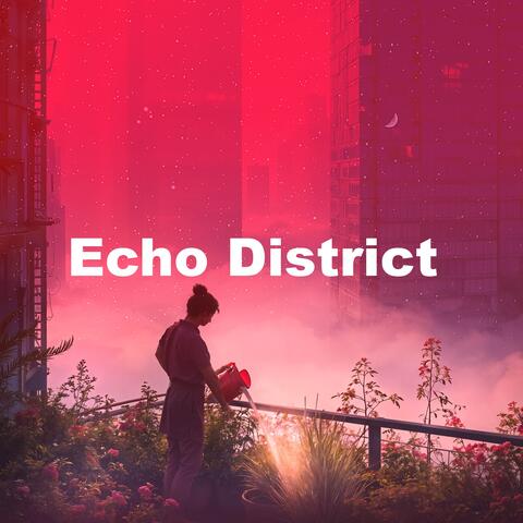 Echo District