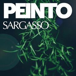 Sargasso