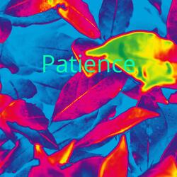 Patience