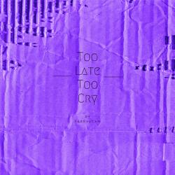 Too Late Too Cry