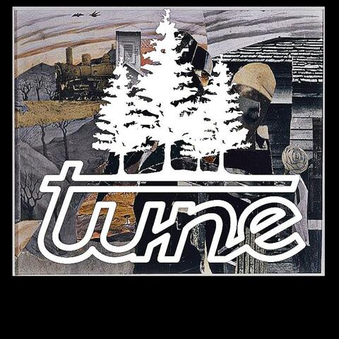 Whispers in Motion; Echoes of Stillness