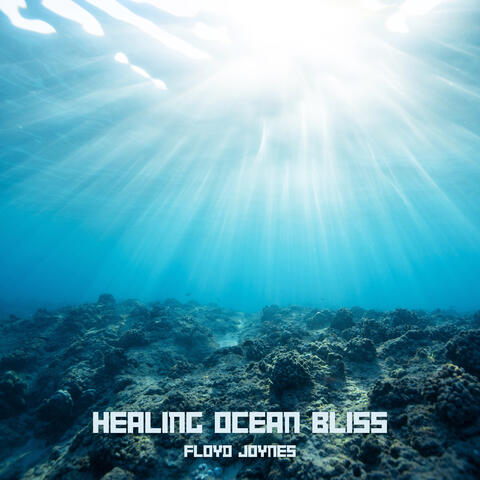 Healing Ocean Bliss Meditation