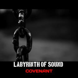 LABYRINTH OF SOUND