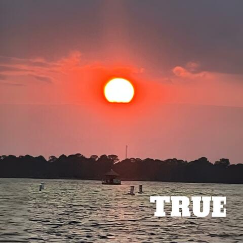 True