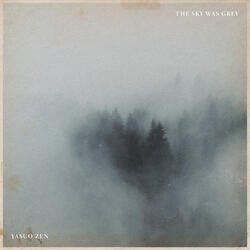 The Sky Was Grey