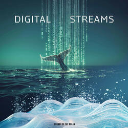 Digital Streams