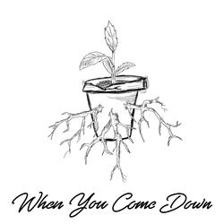 When You Come Down