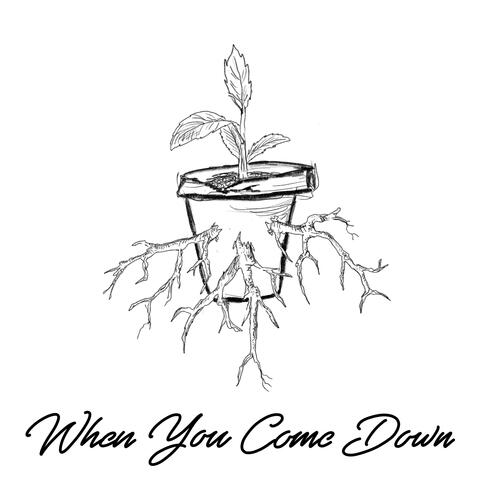When You Come Down