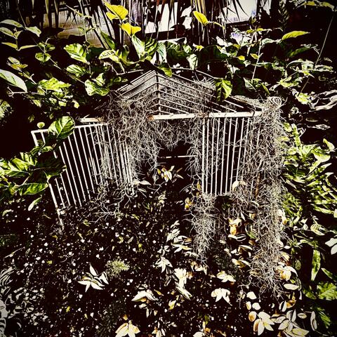 Love Boat/Hate Cruise