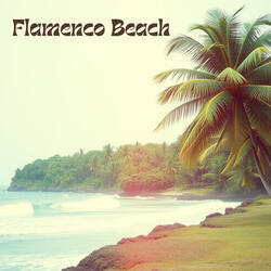 Flamenco Beach