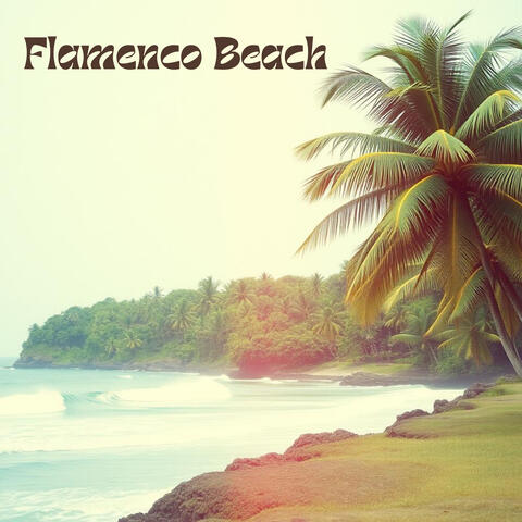 Flamenco Beach