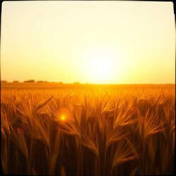 Go Ye And Preach The Gospel