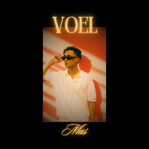 Voel