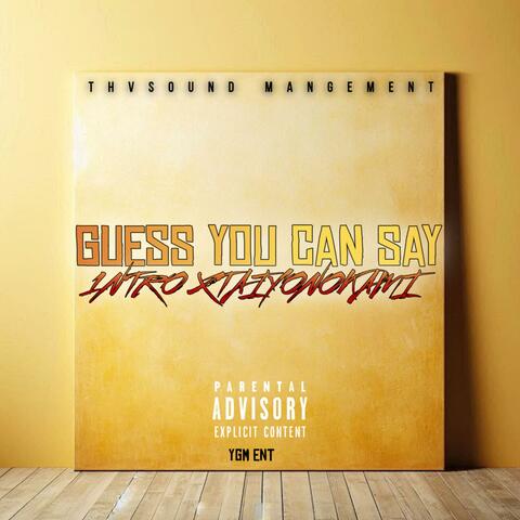 Guess You Can Say