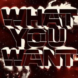 What You Want