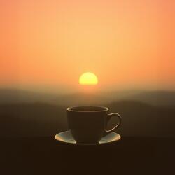It’s a quiet kind of joy