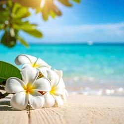 Gentle Waves and Plumeria