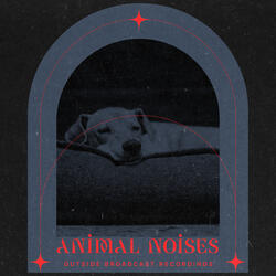 Animal Noises