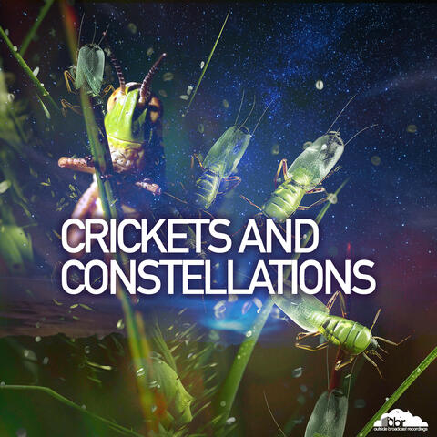 Crickets and Constellations