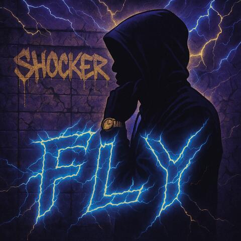 Fly